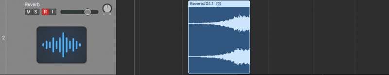trimming reversed reverb sound
