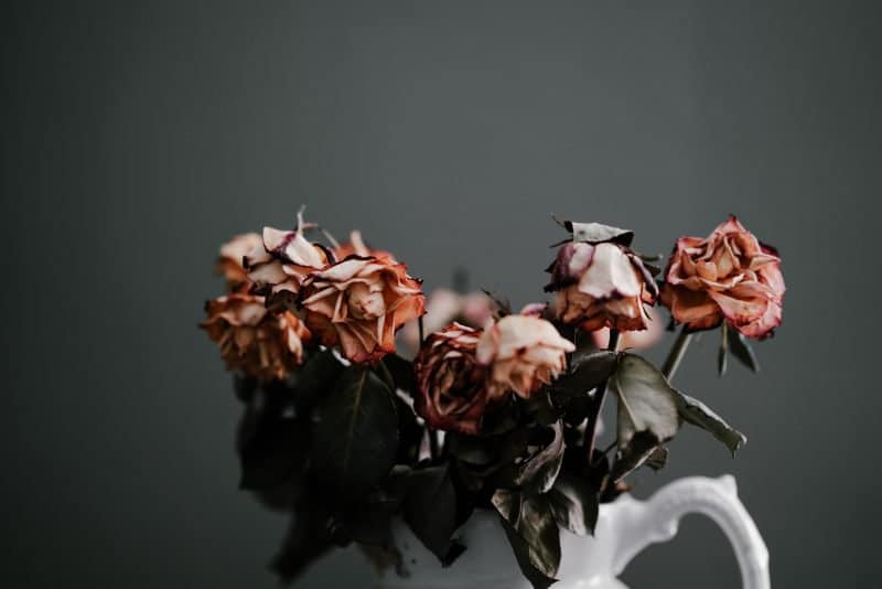 dead flowers symbolizing a lifeless mix