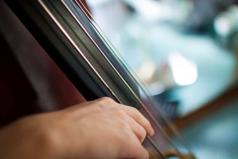 plucking an upright bass