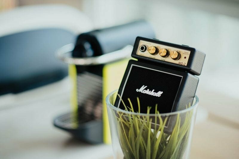 marshall amplifier in a cup of grass