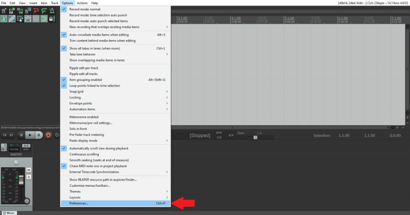reaper options menu