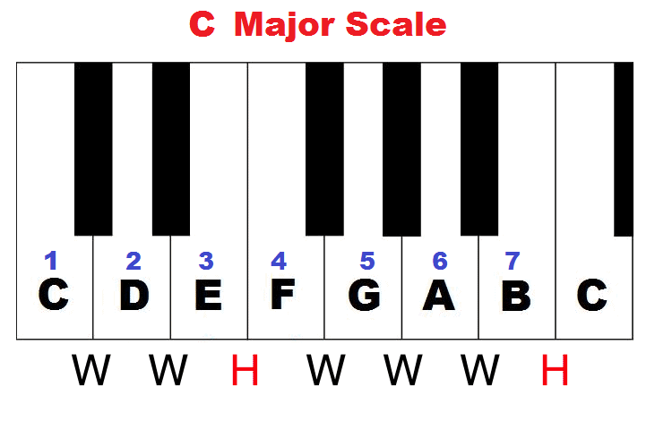 C Major Scale Steps