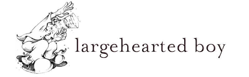 largehearted boy blog